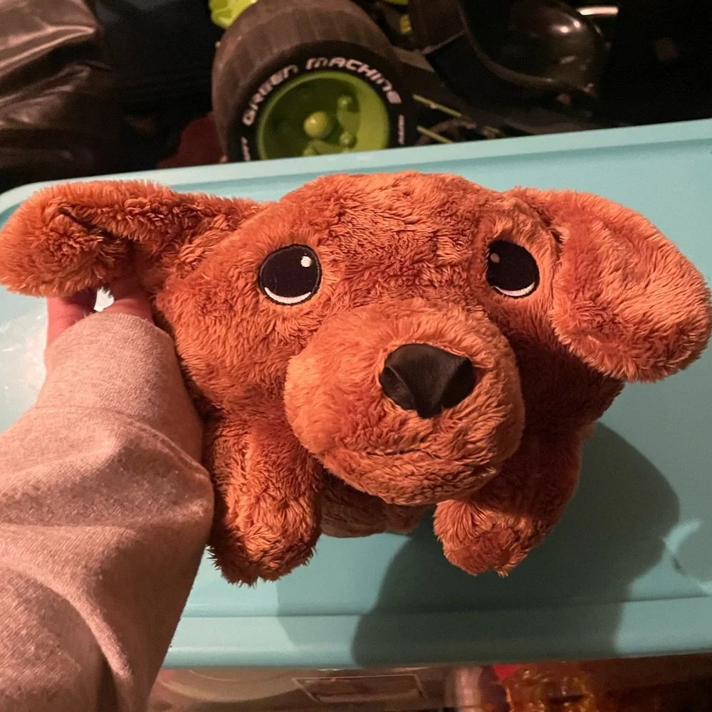 Memory plush wiener dog dachshund pillow “Frank” - Picture 3 of 8
